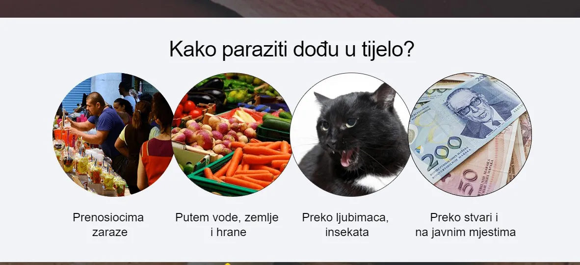Probamin : gdje kupiti u Srbiji, u apoteci?